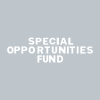 Special Opportunities Fund, Inc. Share Price